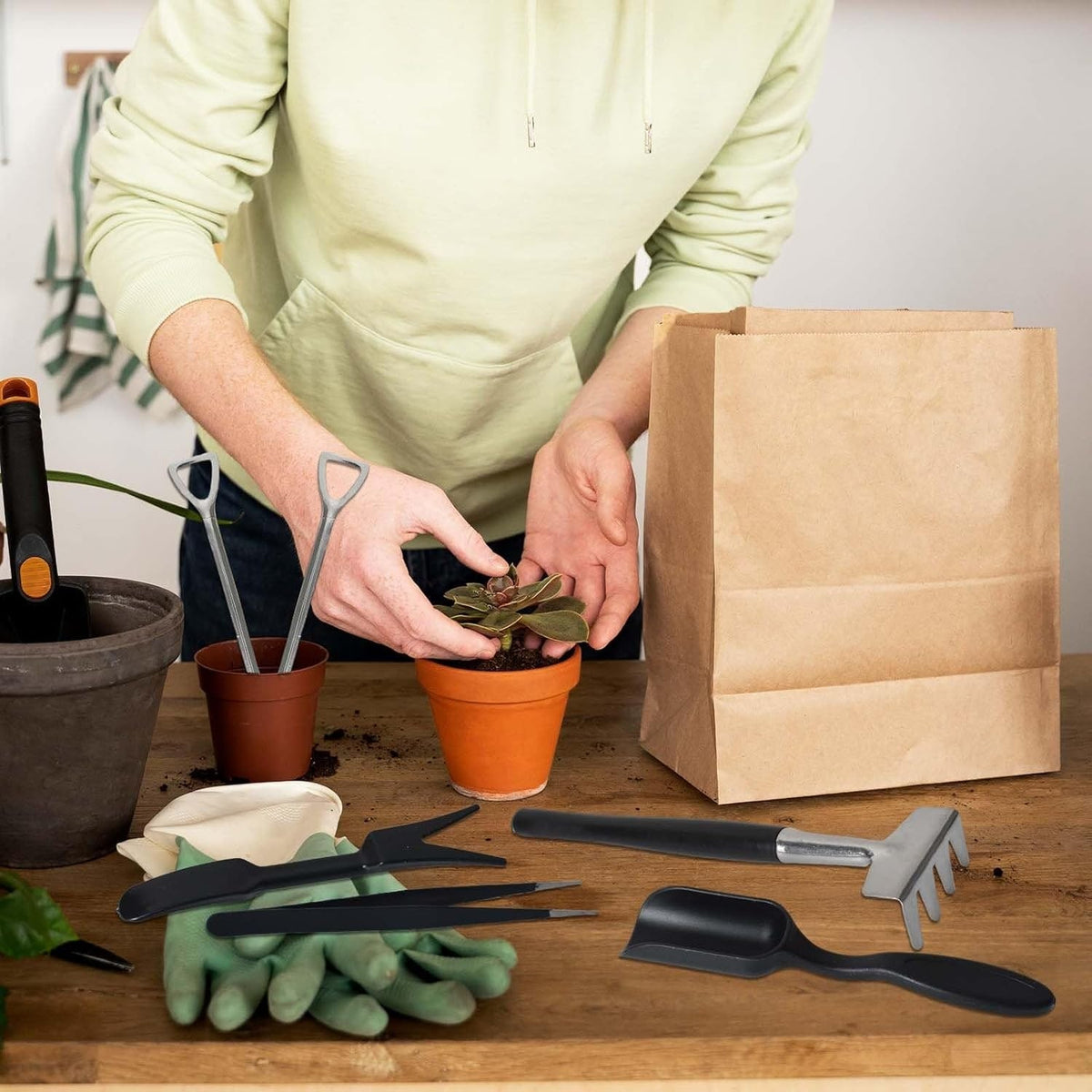 Essential Mini Gardening Kit for Succulents with Handy Pouch
