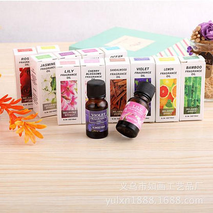 Essential Mist Diffuser | Ultrasonic Humidifier with 6 Oils