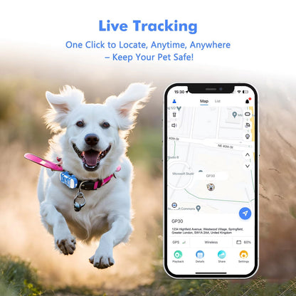 Pup Tracker 2.0