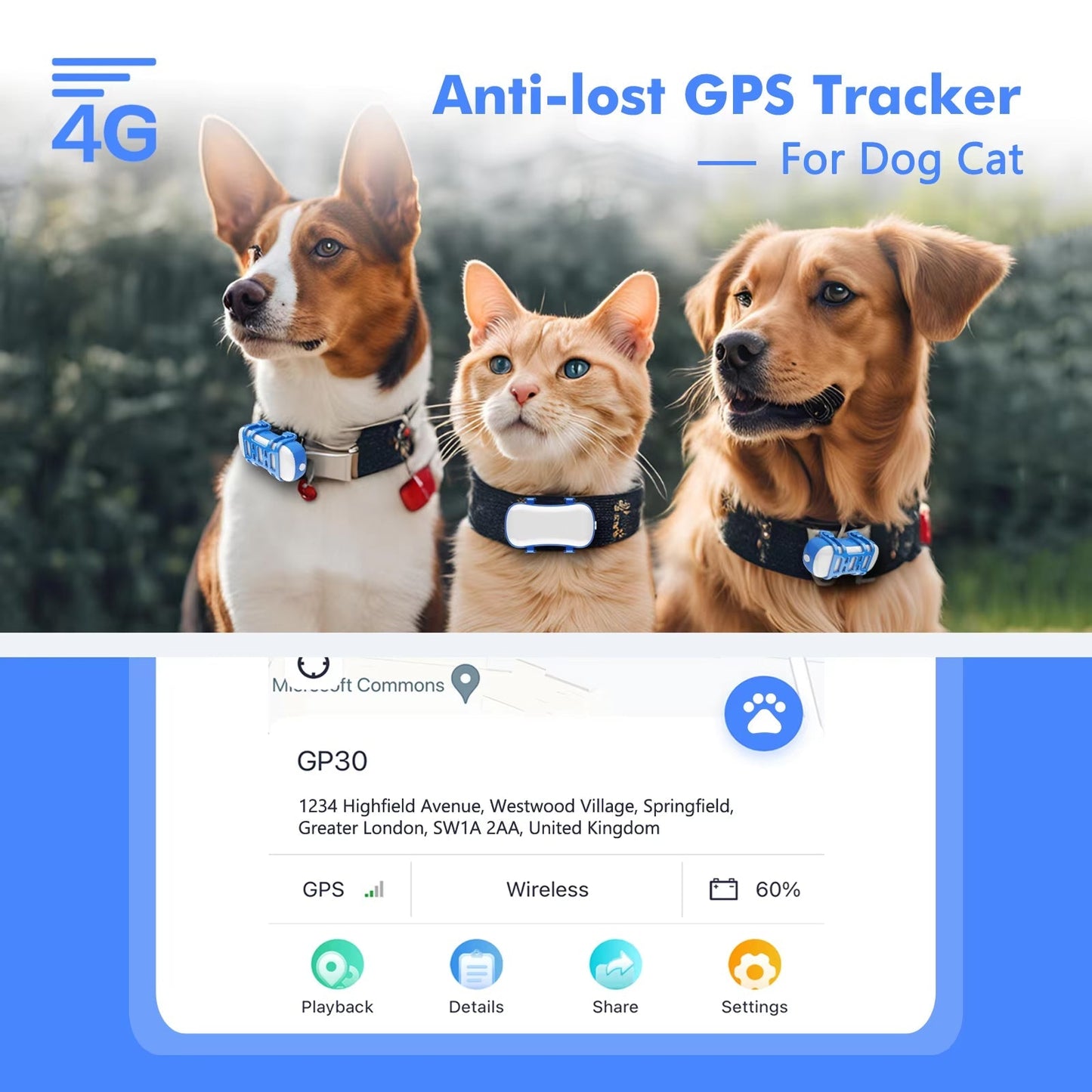 Pup Tracker 2.0