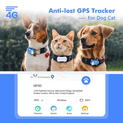 Pup Tracker 2.0