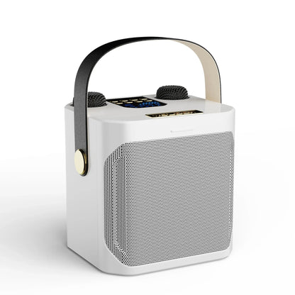Bluetooth Karaoke Speaker with High Power and Portability