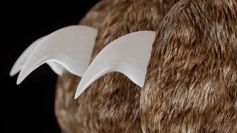 Dog Nail Clippers with Quick Sensors for Efficient Grooming