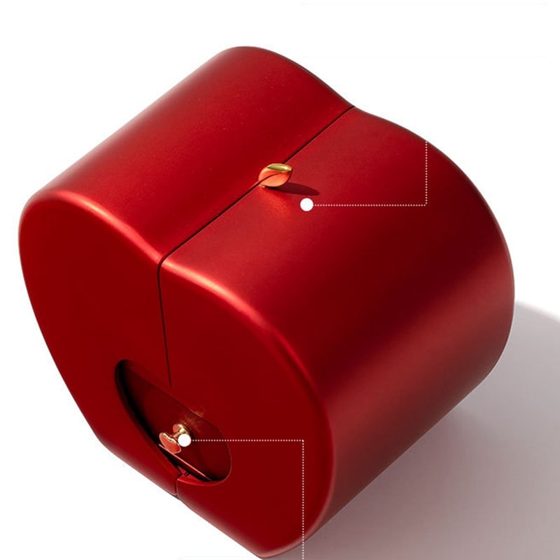 Enchanting Jewelry Box with Everlasting Rose & Necklace for Special Proposals