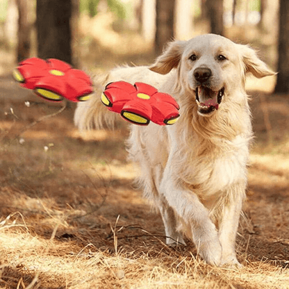 Dynamic 2-in-1 Fetch Toy: Frisbee & Ball Combo
