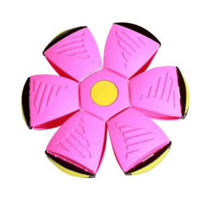 Dynamic 2-in-1 Fetch Toy: Frisbee & Ball Combo