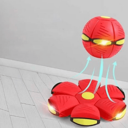 Dynamic 2-in-1 Fetch Toy: Frisbee & Ball Combo