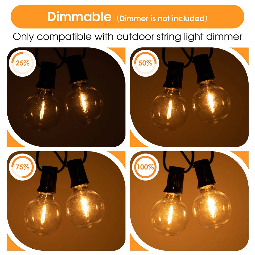 Radiant Glow Lighting Fixture