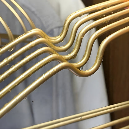 Elegant Garment Hangers for a Streamlined Closet | 10-Pack