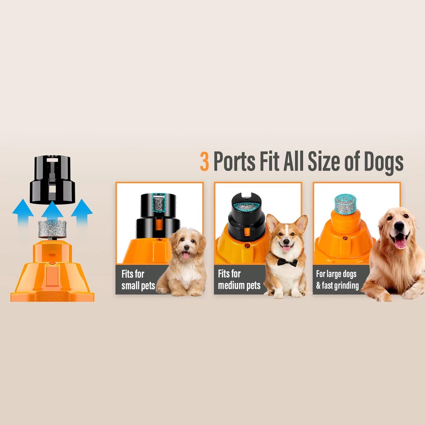 Pet Toothbrush with Soft Bristles and Ergonomic Handle