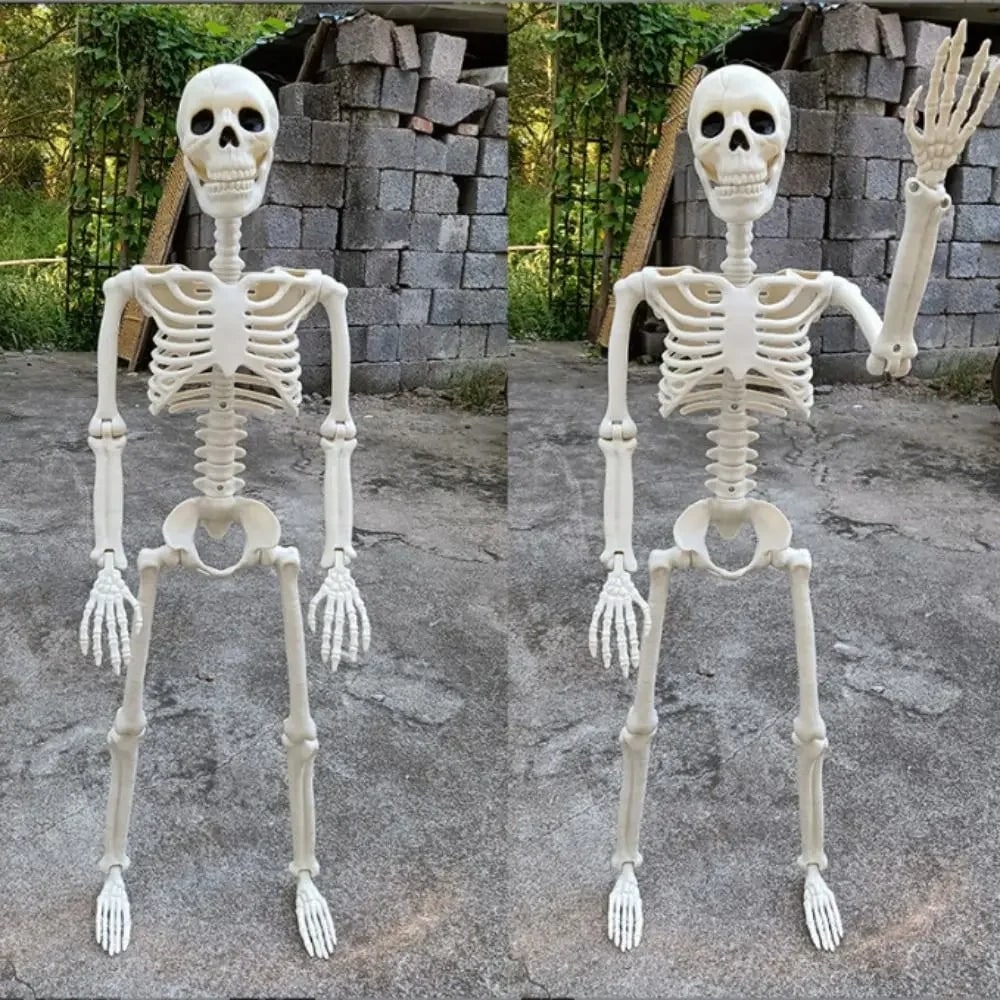 Life-Size Poseable Skeleton for Halloween Festivities