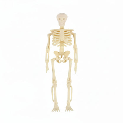 Poseable Mini Skeleton Figurines for Spooky Halloween Decor
