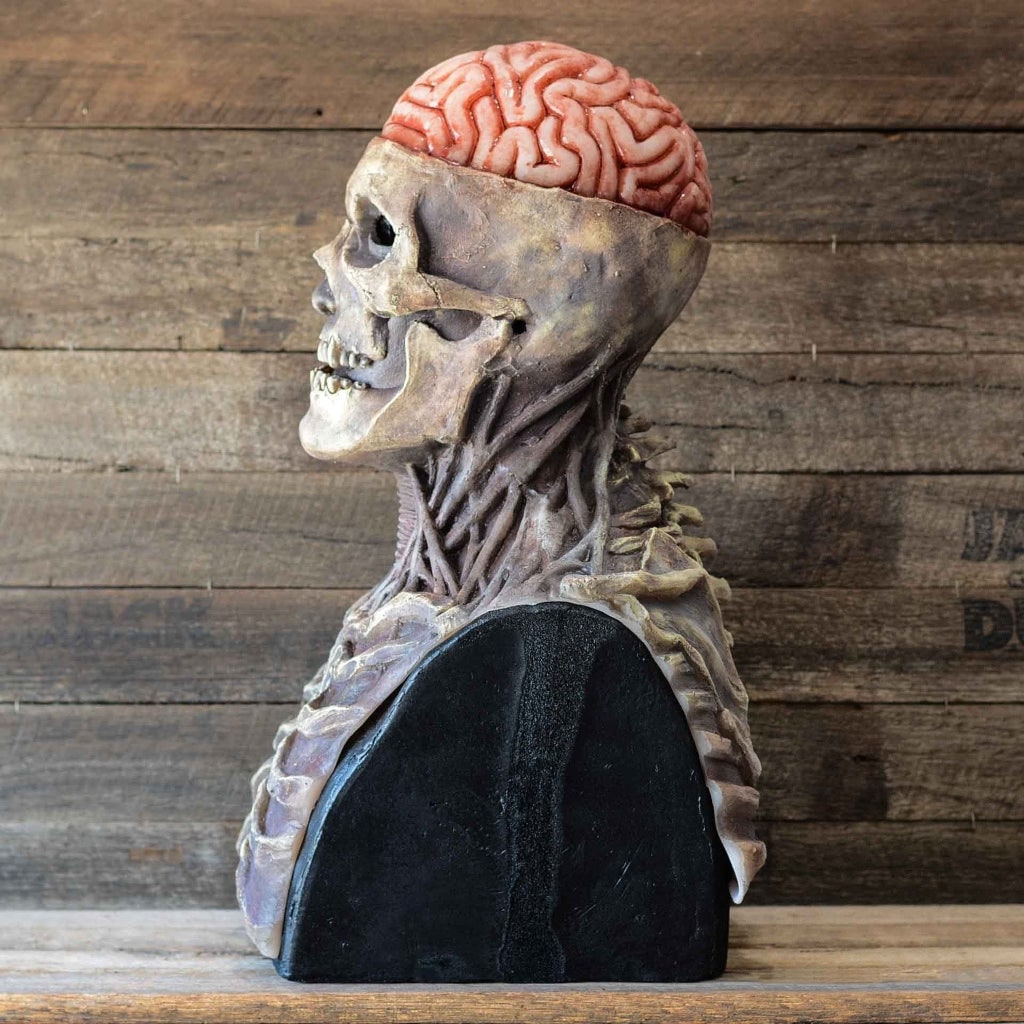 Bone-Chilling Skull Mask with Exposed Brain and Chest Detail