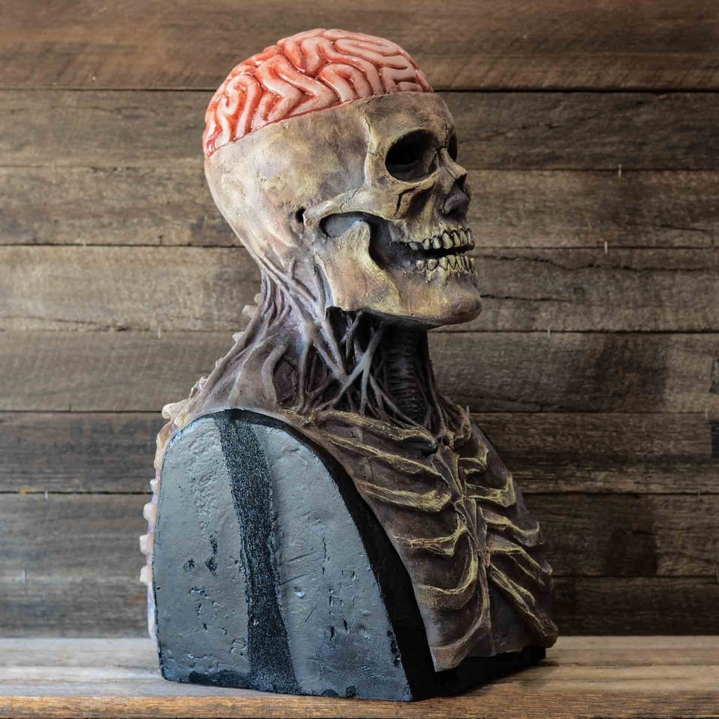 Bone-Chilling Skull Mask with Exposed Brain and Chest Detail