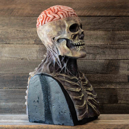 Bone-Chilling Skull Mask with Exposed Brain and Chest Detail