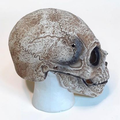 Creepy Skull Mask with Jaw Movement for Halloween Fun