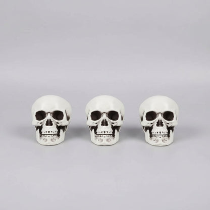 Set of 10 Miniature Skull Decorations for Halloween Festivities