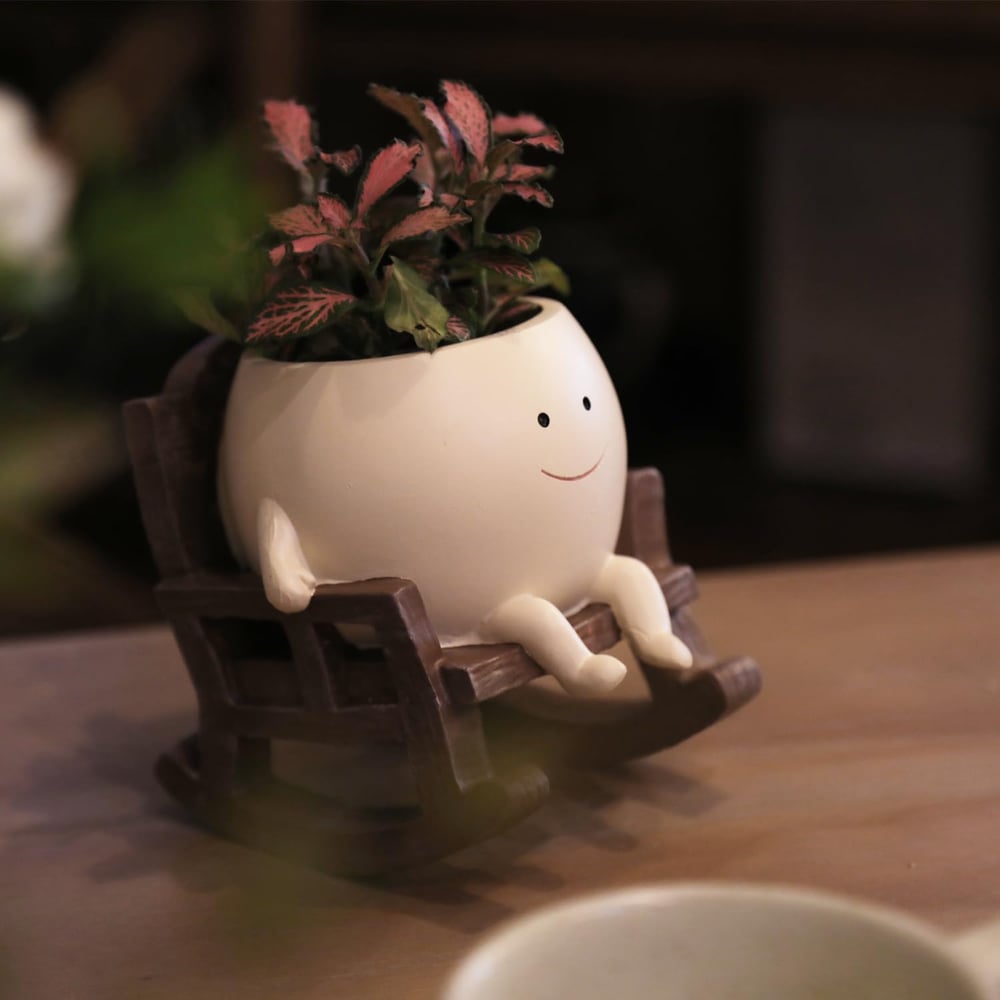 Charming Planter for Vibrant Greenery