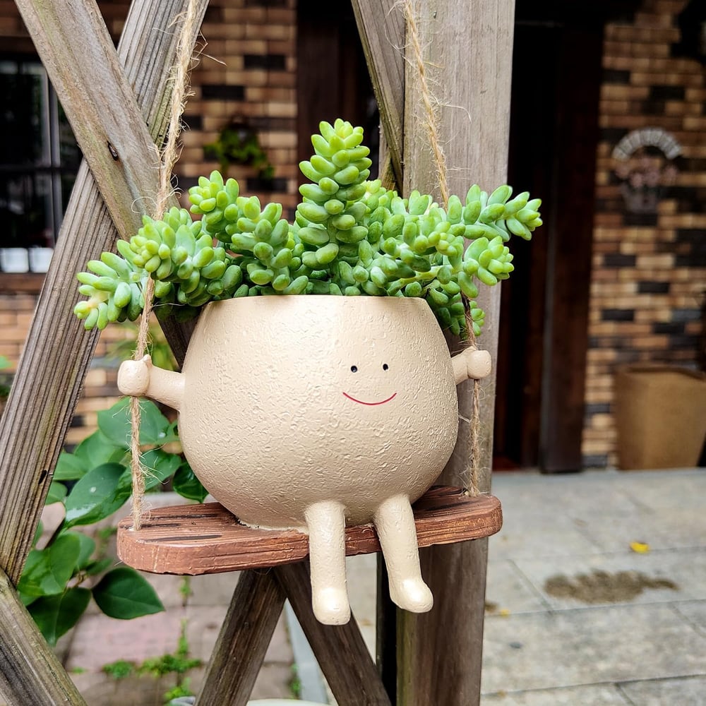 Charming Planter for Vibrant Greenery