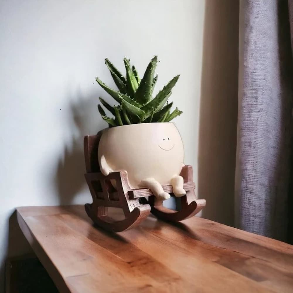Charming Planter for Vibrant Greenery