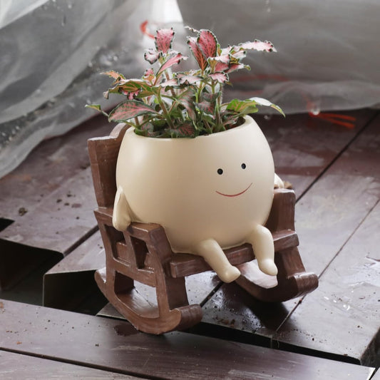 Charming Planter for Vibrant Greenery