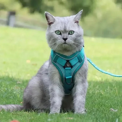 Y-Shaped Harness for Cats