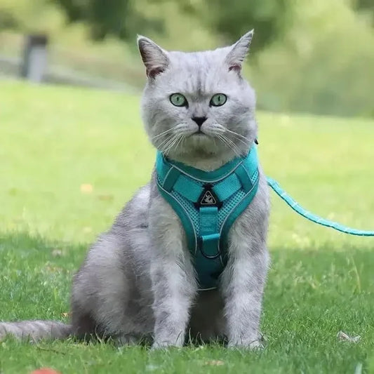 Y-Shaped Harness for Cats