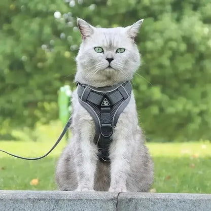 Y-Shaped Harness for Cats