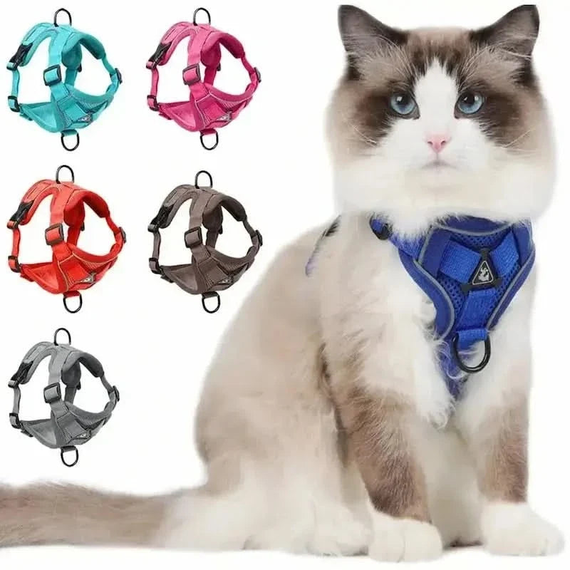 Y-Shaped Harness for Cats