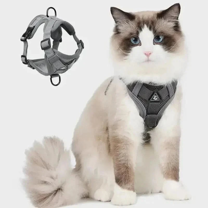 Y-Shaped Harness for Cats
