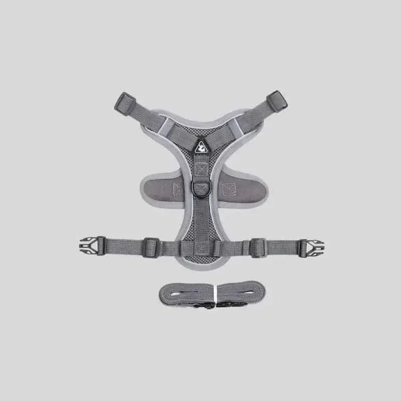 Y-Shaped Harness for Cats