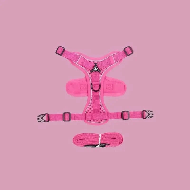 Y-Shaped Harness for Cats