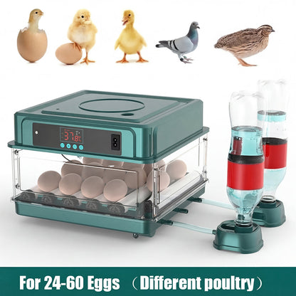 Automated Chicken Coop Door Opener