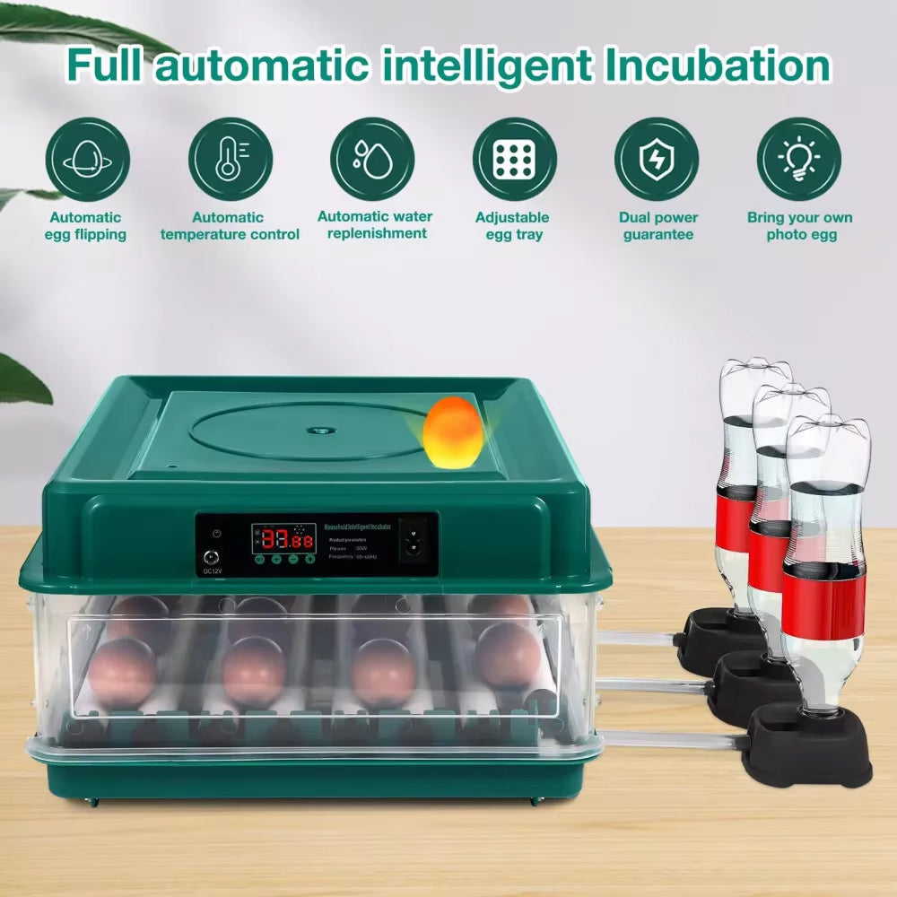 Automated Chicken Coop Door Opener