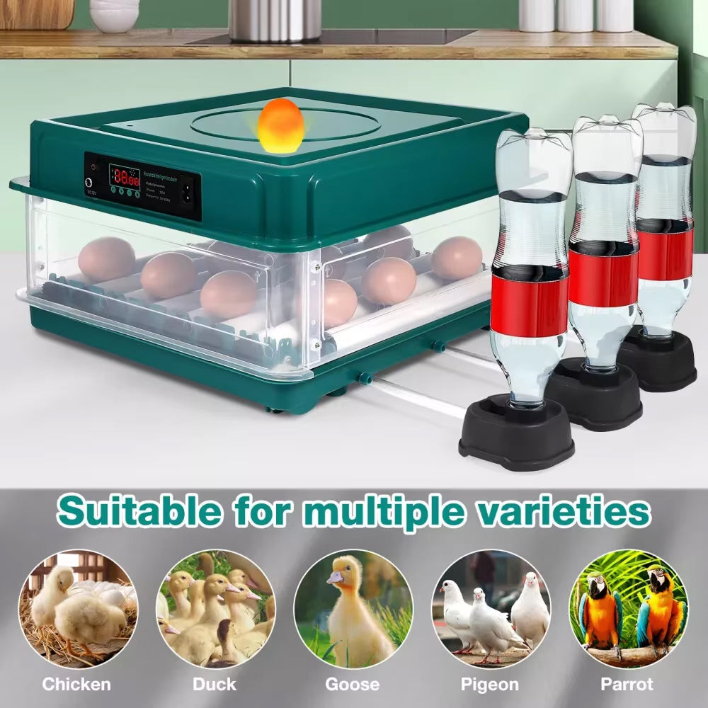 Automated Chicken Coop Door Opener