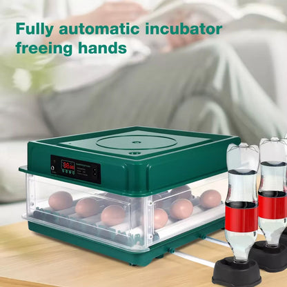 Automated Chicken Coop Door Opener