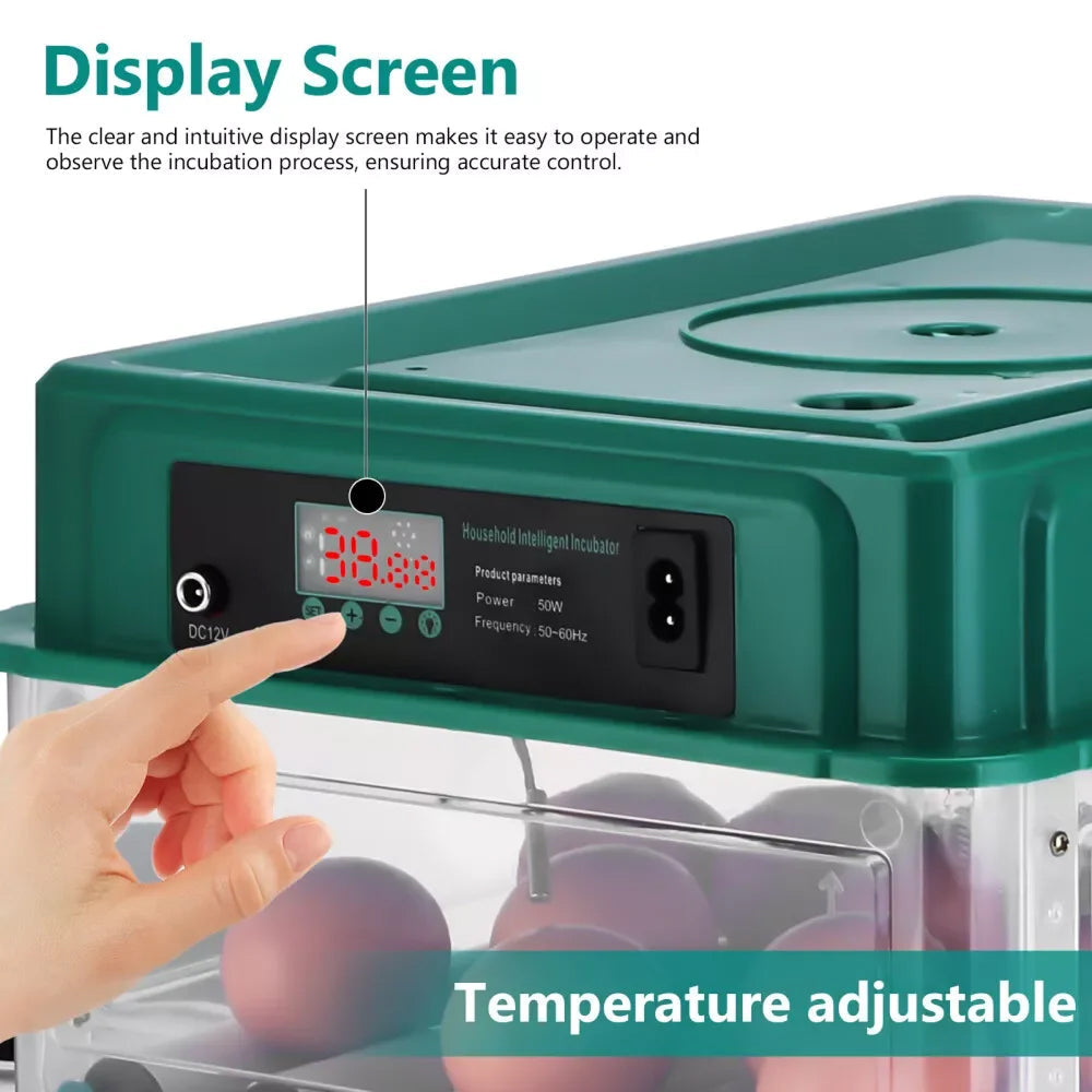 Automated Chicken Coop Door Opener