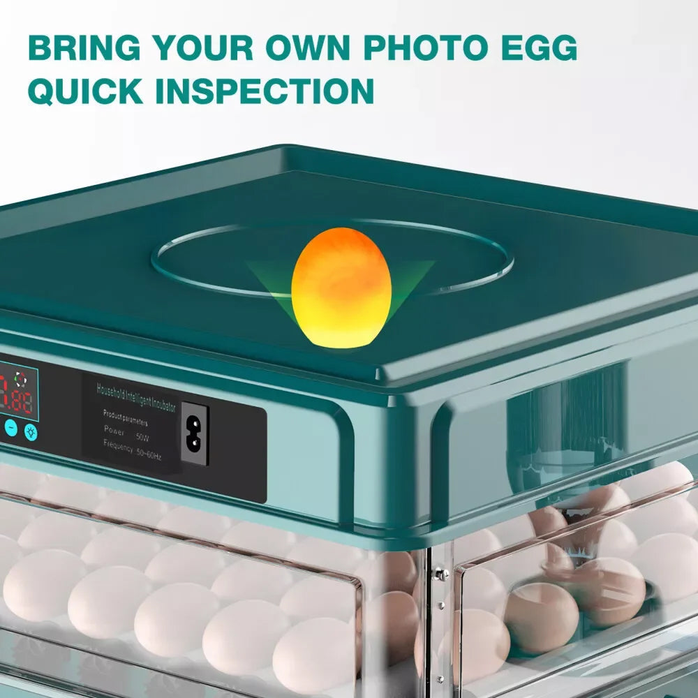 Automated Chicken Coop Door Opener
