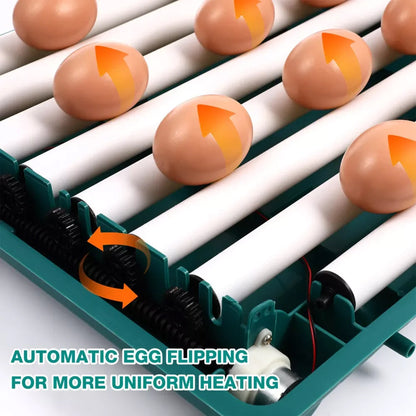 Automated Chicken Coop Door Opener