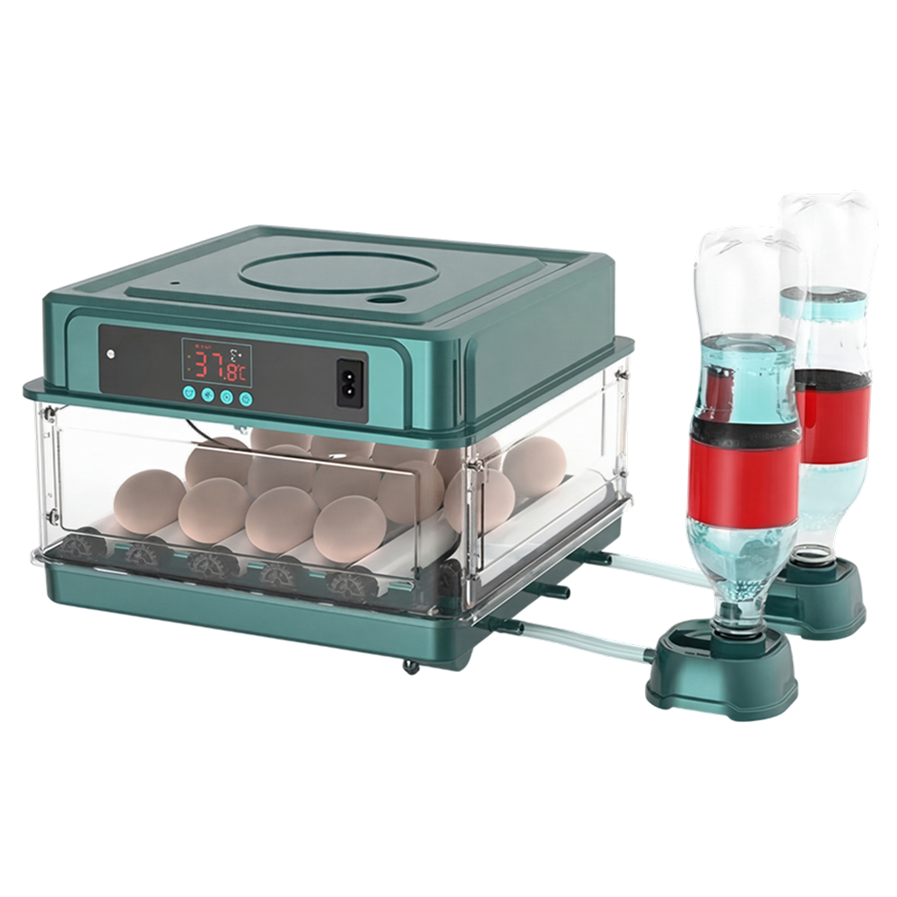 Automated Chicken Coop Door Opener