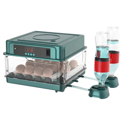 Automated Chicken Coop Door Opener