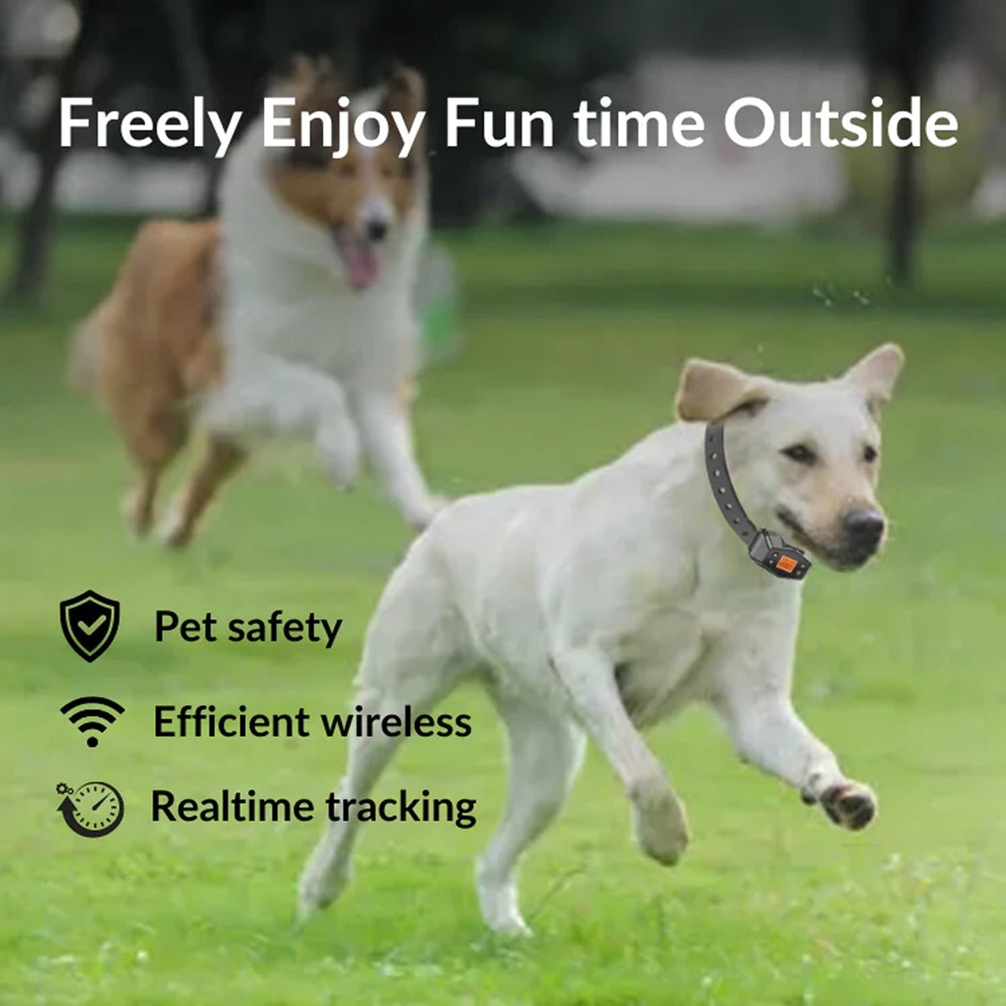 Pet Containment System with GPS for Dogs