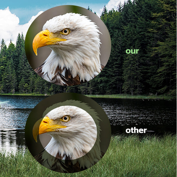 20x60 Professional Binoculars for Bird Watching in the UK