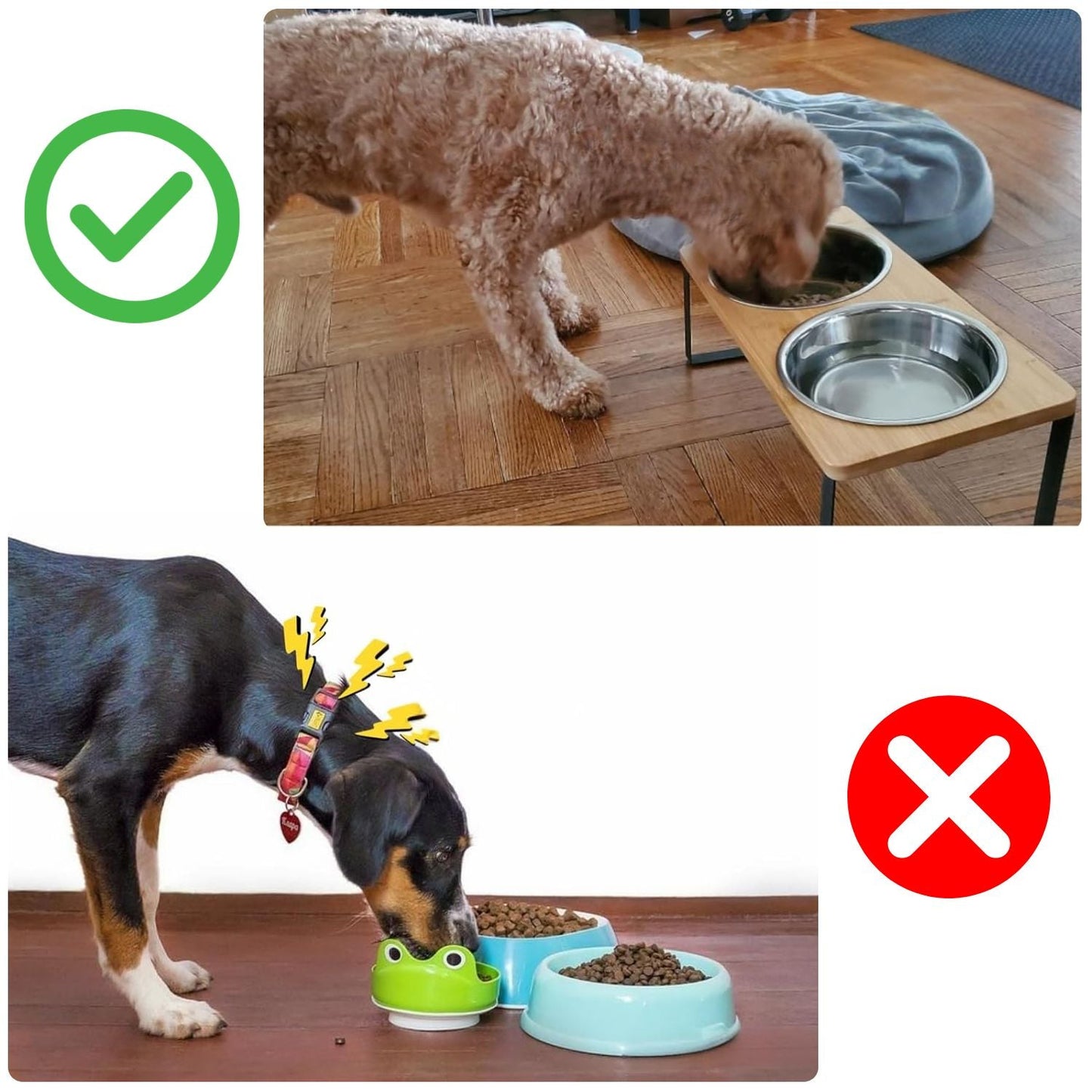 Dog Food Bowl Set with Bamboo Stand and Removable Stainless Steel Dishes