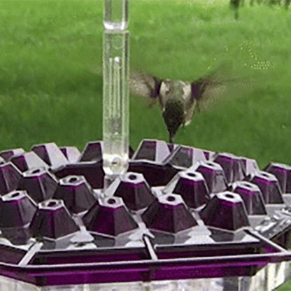 Vibrant Nectar Feeder for Hummingbirds with Easy Access Ports