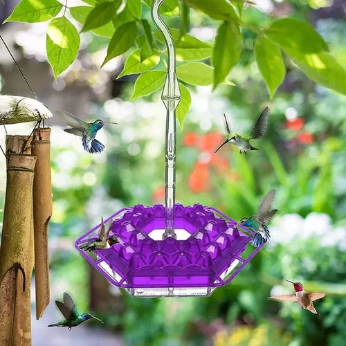 Vibrant Nectar Feeder for Hummingbirds with Easy Access Ports