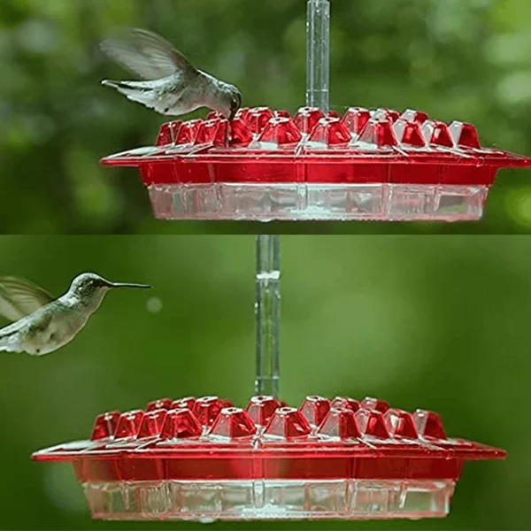 Vibrant Nectar Feeder for Hummingbirds with Easy Access Ports