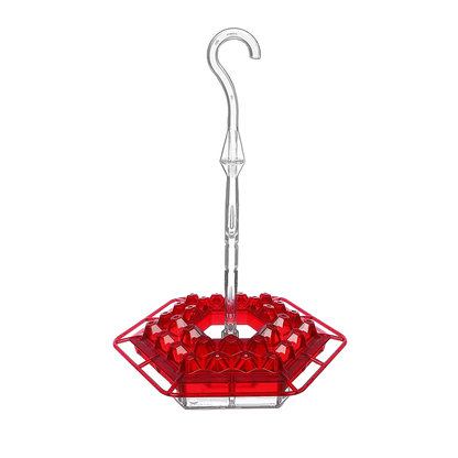 Vibrant Nectar Feeder for Hummingbirds with Easy Access Ports