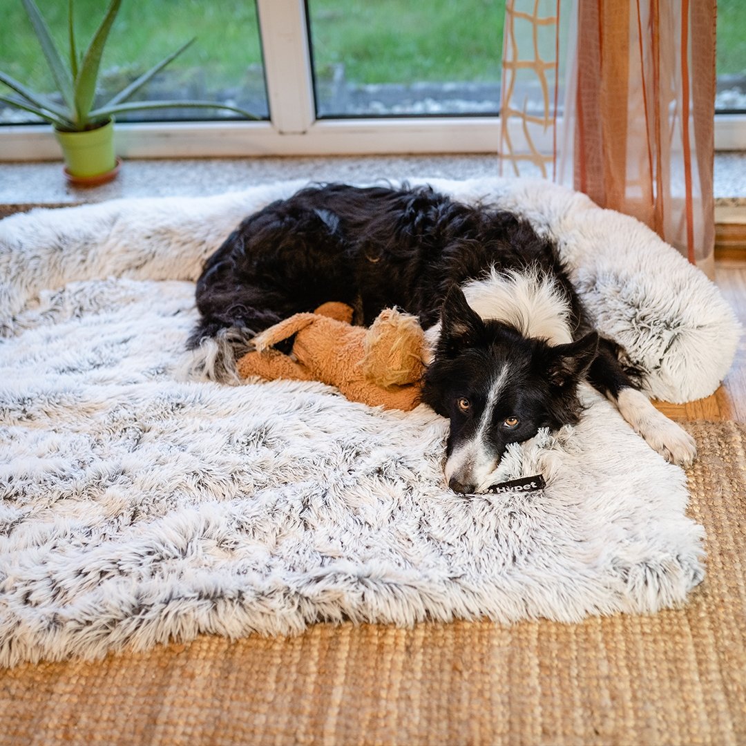 Washable, Warm, and Waterproof Autumn Cushion for Your Dog