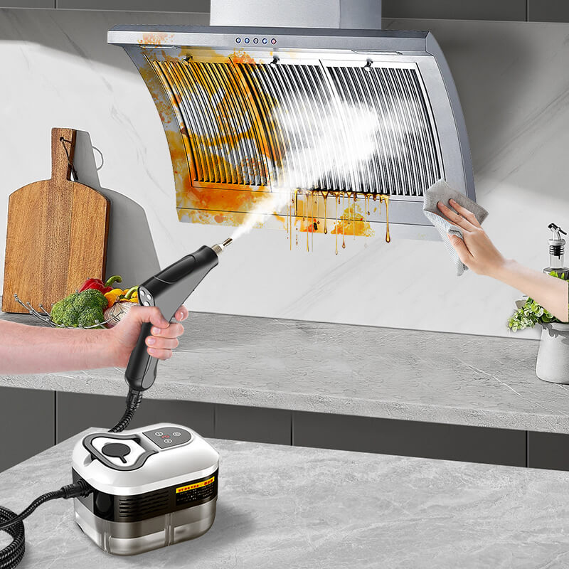 2500W Multi-Purpose Steam Cleaner with Protective Gloves
